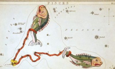Anunitu