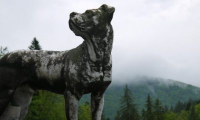 Simbología del perro