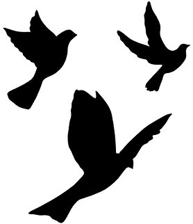 Aves