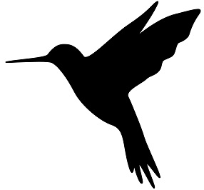 Colibrí